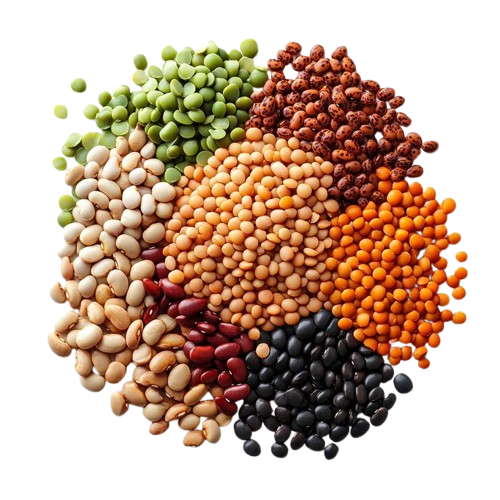 Pulses